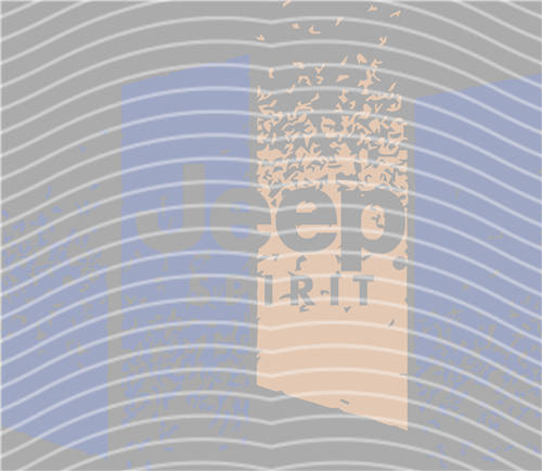 2025 latest edition-KNY 980